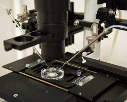 代怀试管,上海第三代试管婴儿医院哪家好